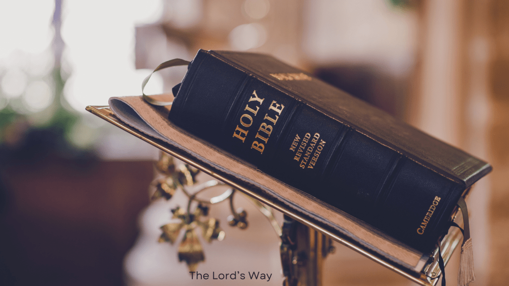 What is a Christian? A Biblical Understanding of True&nbsp;Christianity