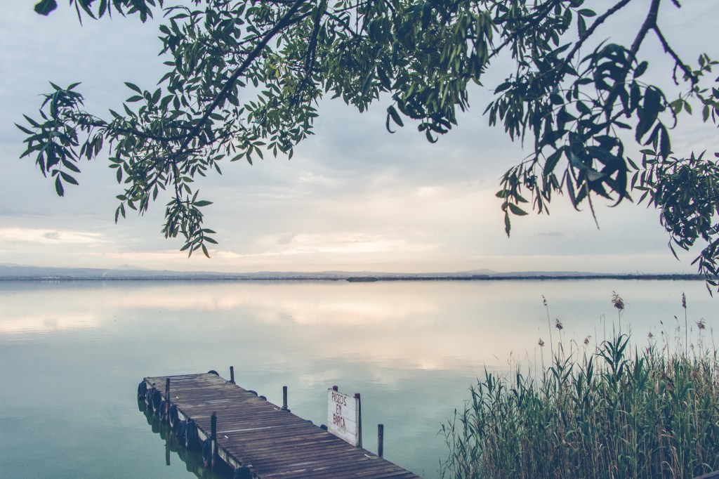 Beautiful scenery of a wooden dock by the sea surrounded by green plants